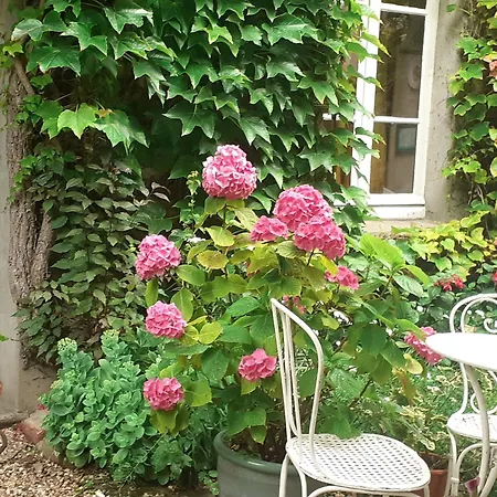 La Glycine Casa de hóspedes 3*