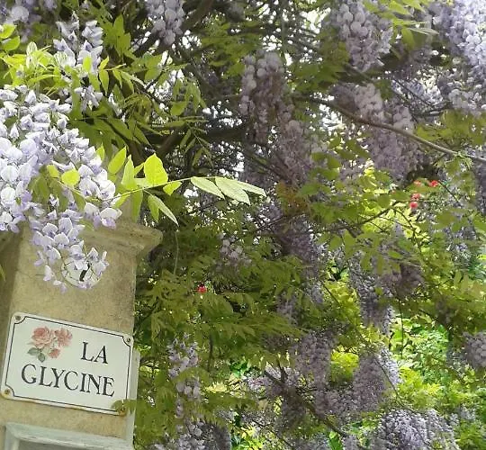 La Glycine Asnelles
