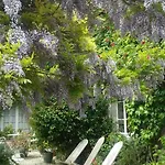 La Glycine Asnelles