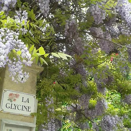 La Glycine Asnelles